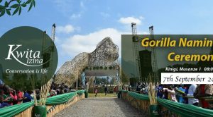 Kwita Izina (Gorilla Naming) in Rwanda