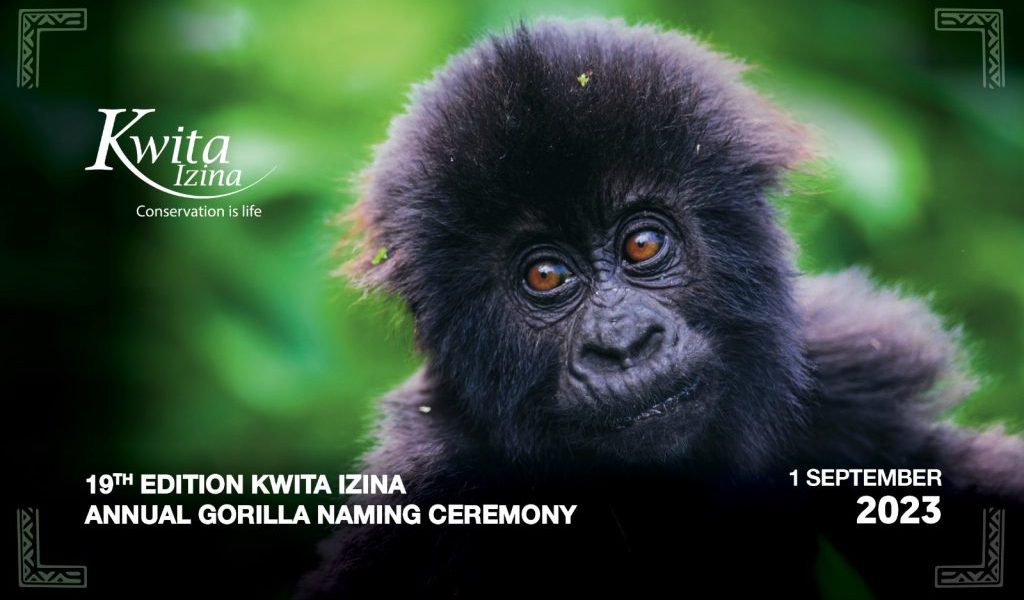 Kwita Izina (Gorilla Naming) in Rwanda