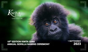 Kwita Izina (Gorilla Naming) in Rwanda