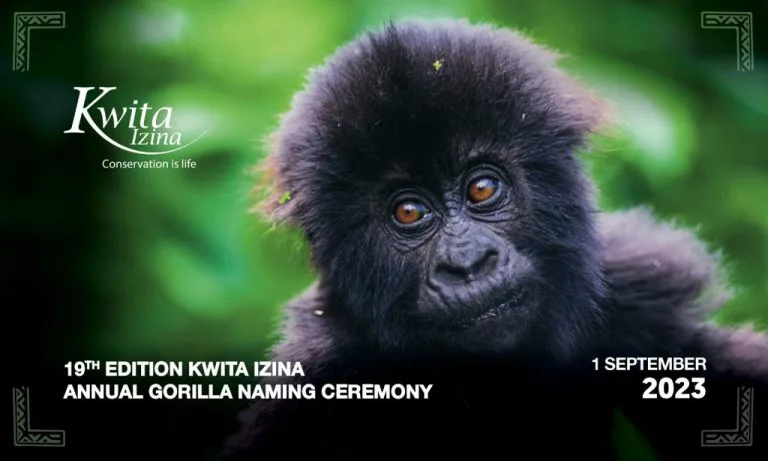 Kwita Izina (Gorilla Naming) in Rwanda