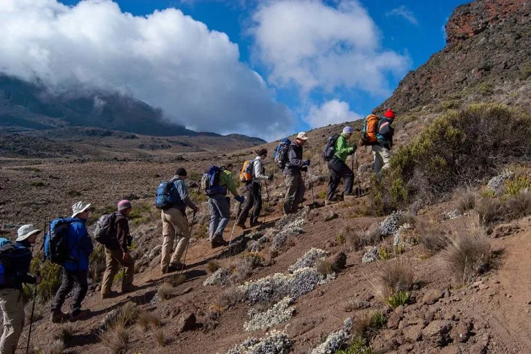Mount Kilimanjaro Hiking Tours