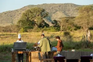 Luxury Lodges in Serengeti National Park