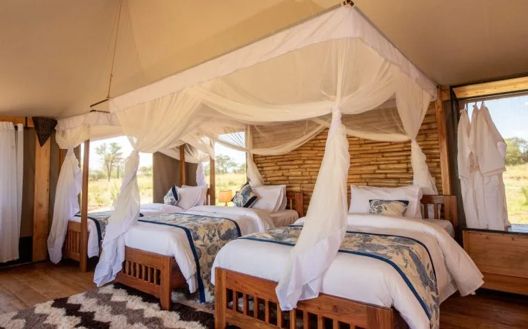 Luxury Lodges in Serengeti National Park