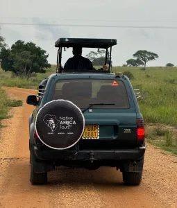 Company has Comfortable Safari Vehicles in Uganda