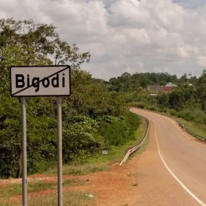 Bigodi Wetland in Kibale National Park
