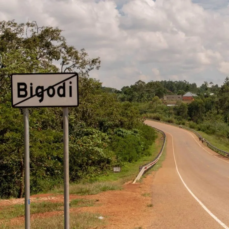 Bigodi Wetland in Kibale National Park