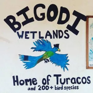 Bigodi Wetland in Kibale National Park