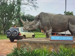 Tip On a Uganda Safari