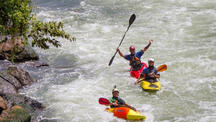 7 Days Uganda Wildlife and Kayaking Tour