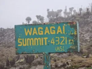The Best Time to Hike Mountain Elgon 
