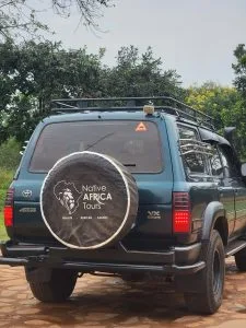 get to Bwindi for gorilla trekking