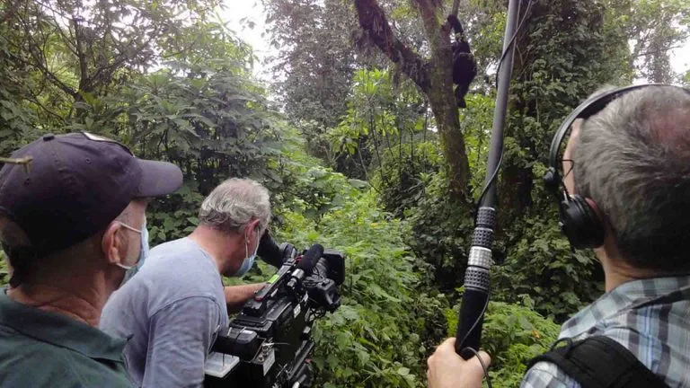 Cost Gorilla Filming Uganda