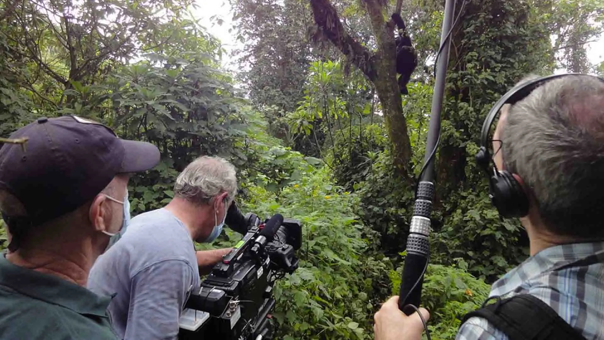 Cost Gorilla Filming Uganda