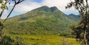 Mount Biega in Congo
