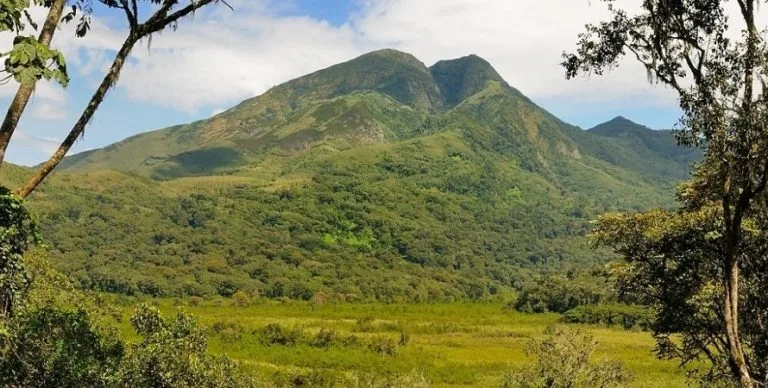 Mount Biega in Congo