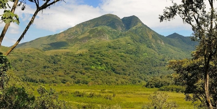 Mount Biega in Congo