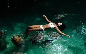 Swimming With Turtles in Zanzibar