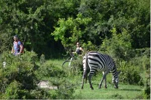 Uganda cycling tours