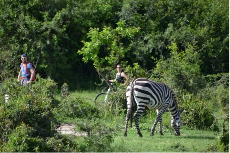 Uganda cycling tours