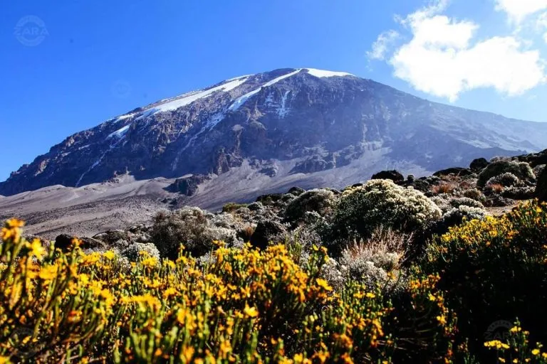 Best Time to Climb Mountain Kilimanjaro