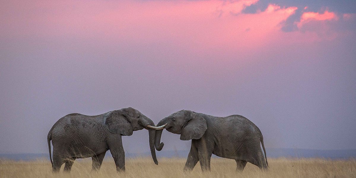 Best Places for Valentines Day in Kenya