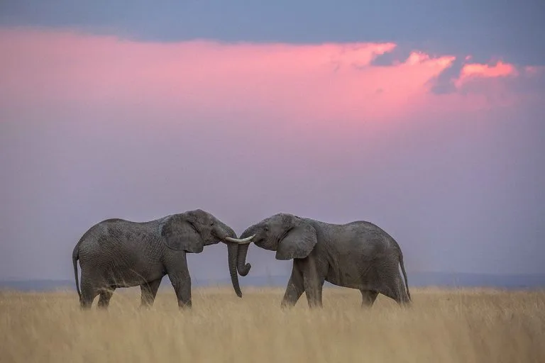 Best Places for Valentines Day in Kenya