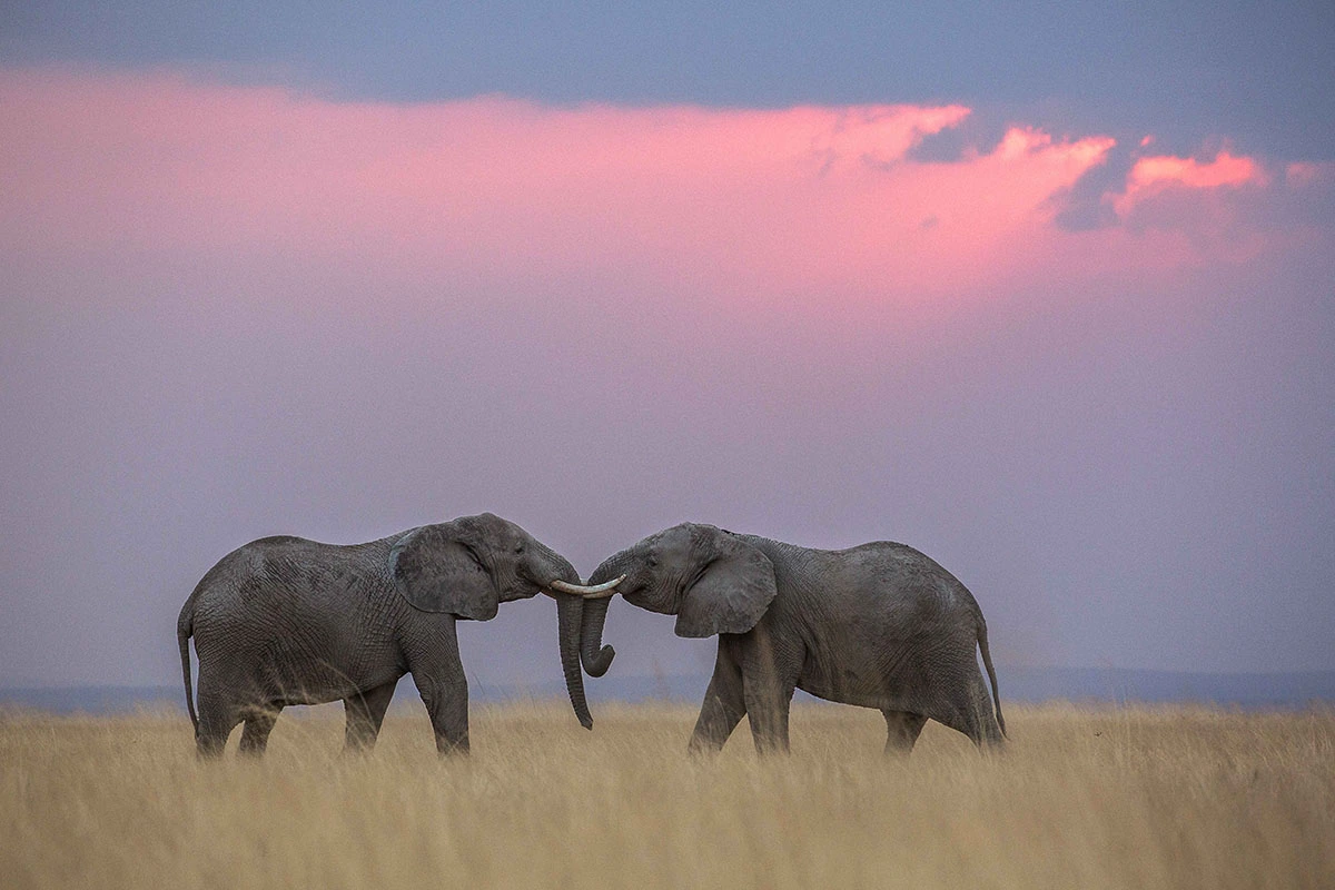 Best Places for Valentines Day in Kenya