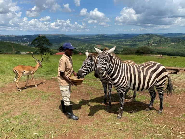 CTC Conservation Centre in Uganda