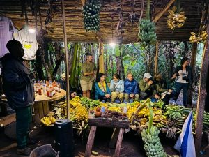 Banana Experience in Kibale National Park