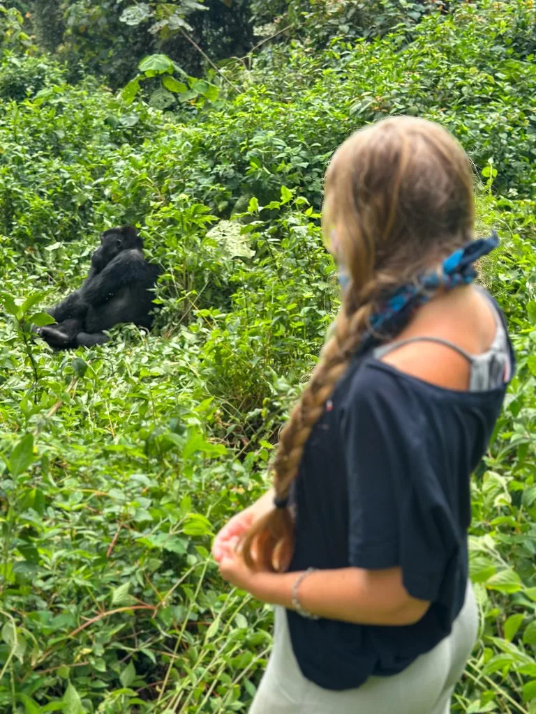 Gorilla Trekking During Winter