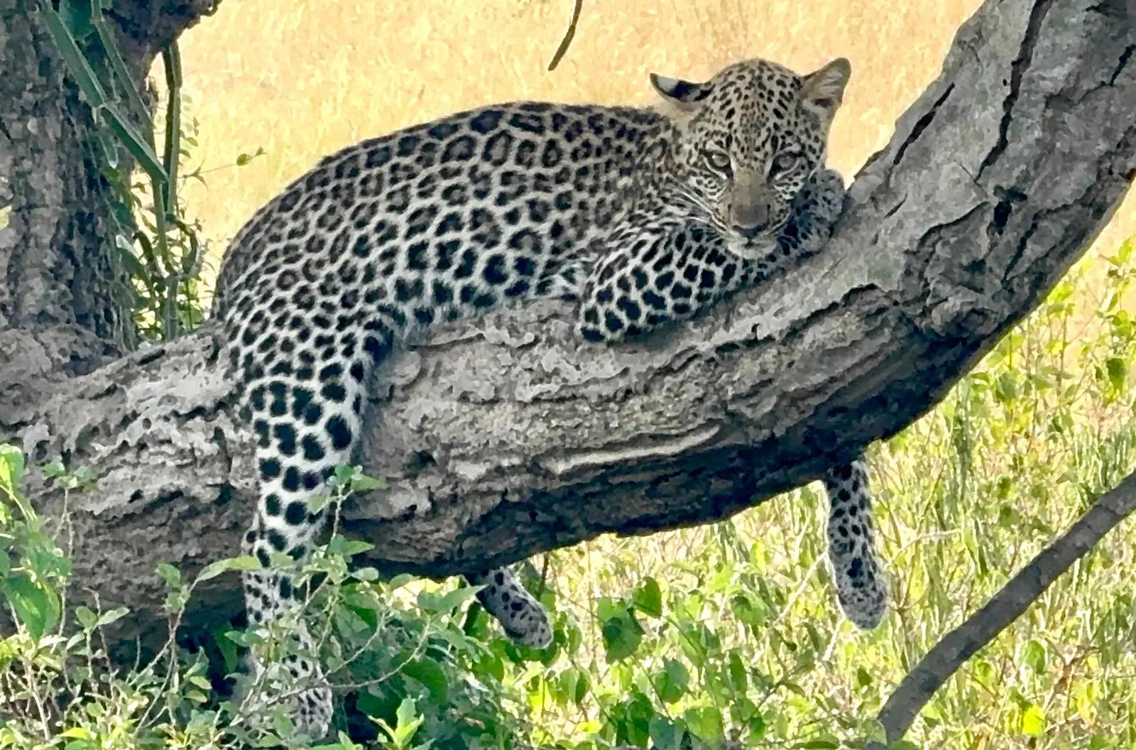 Tourist Attractions in Uganda