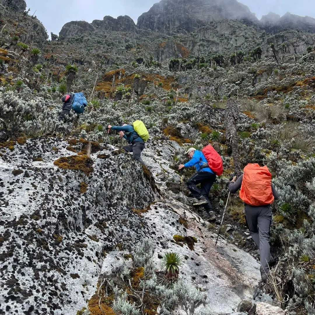 Best Mountain To Climb In East Africa