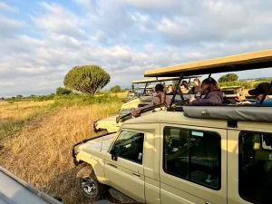 Day Tours in Akagera National Park