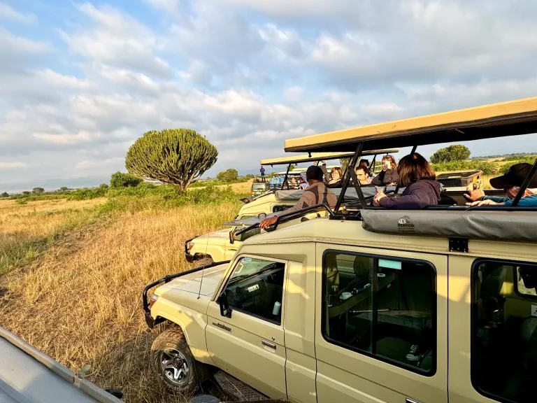 Day Tours in Akagera National Park