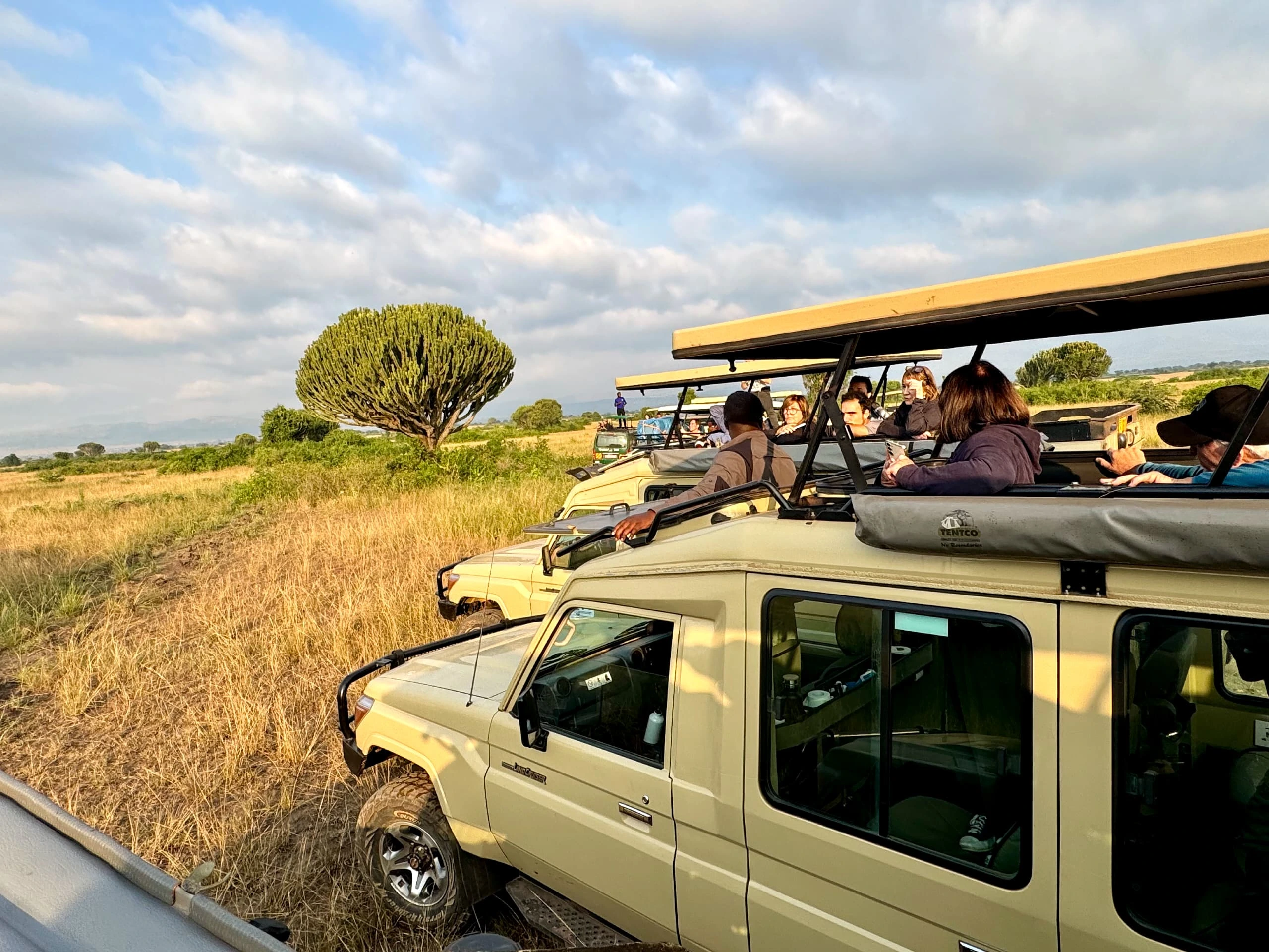 Day Tours in Akagera National Park