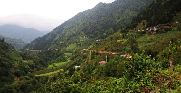 9 Days Congo Nile Trail and Nyungwe Safari