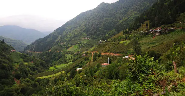 9 Days Congo Nile Trail and Nyungwe Safari