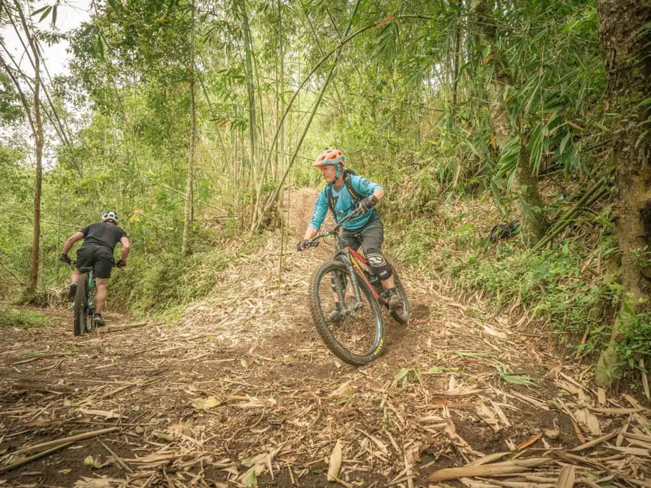 Cycling in Bwindi Impenetrable National Park