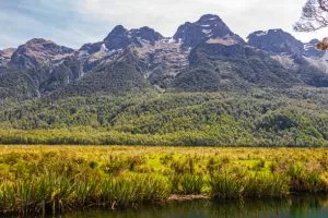 Elena Hut in Mount Rwenzori 