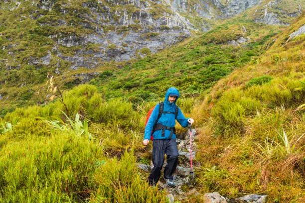 Elena Hut in Mount Rwenzori