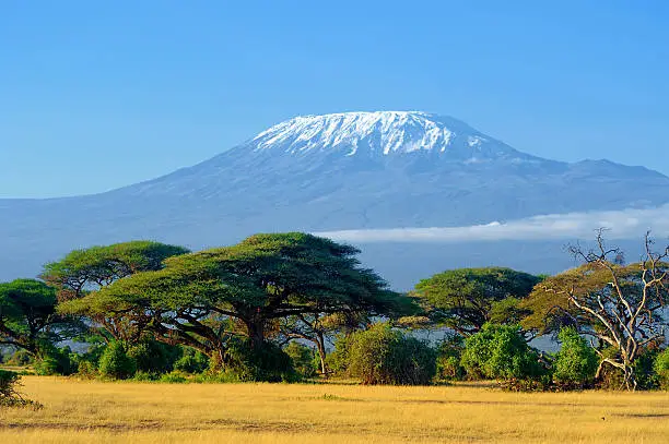 Gorilla Trekking and Kilimanjaro Hiking