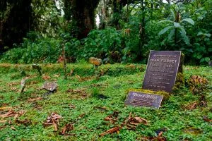 Karisoke Research Centre in Volcanoes National Park