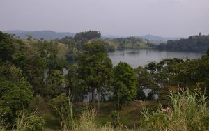 Lodges in Ndali-Kasenda Region 