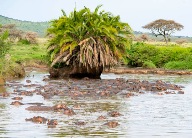Visit Uganda in the Easter Holidays
