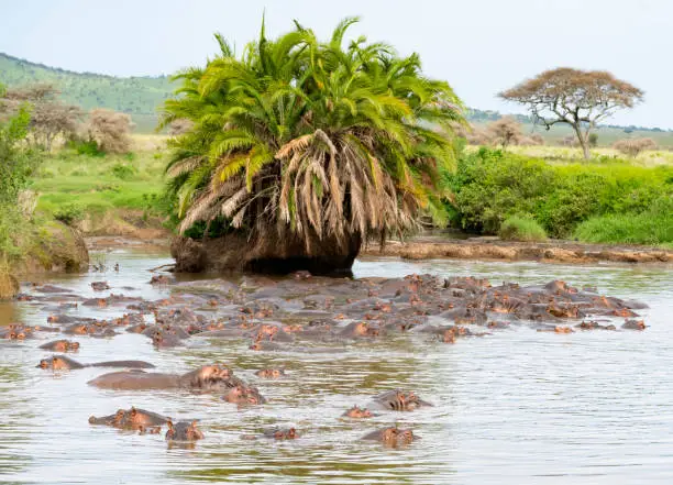 Visit Uganda in the Easter Holidays