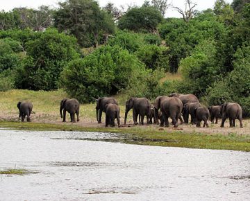 3 Days Fort Portal and Queen Elizabeth National Park Safari