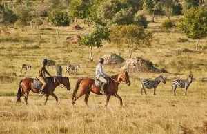 Mihingo Lodge in Lake Mburo National Park