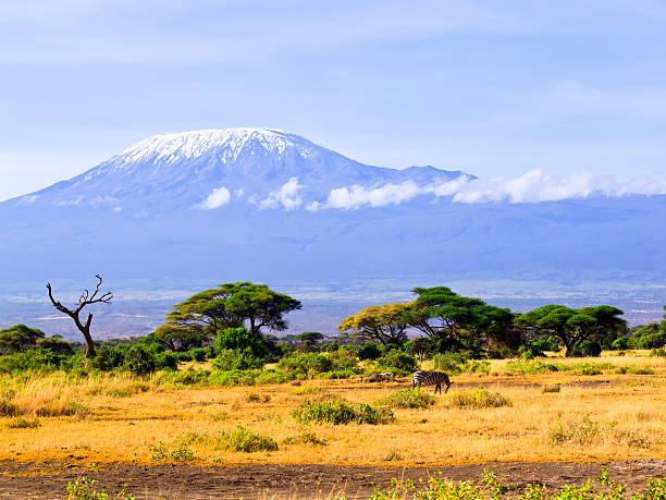 Top 10 Safari Destinations in East Africa
