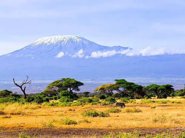 Top 10 Safari Destinations in East Africa