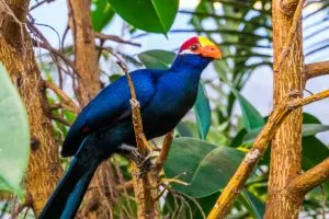 10 Best National Parks in Uganda